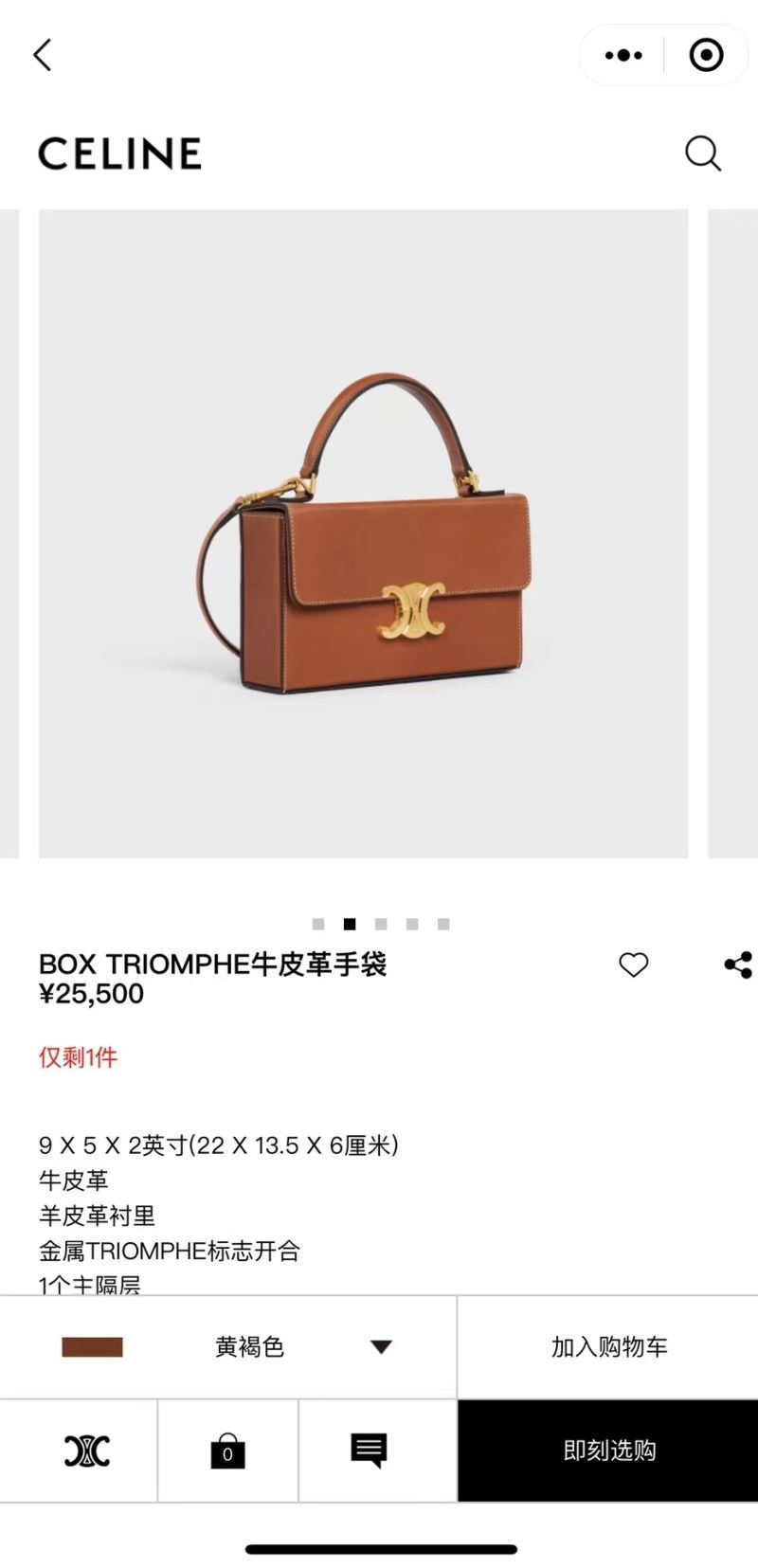 Celine Triomphe Bags